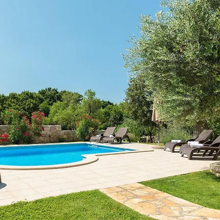 Natura Mikulezi 펜션